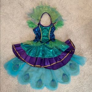 Peacock Halloween Costume. Excellent Condition!